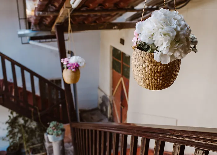 Bed and breakfast Gringo Bill's 3*